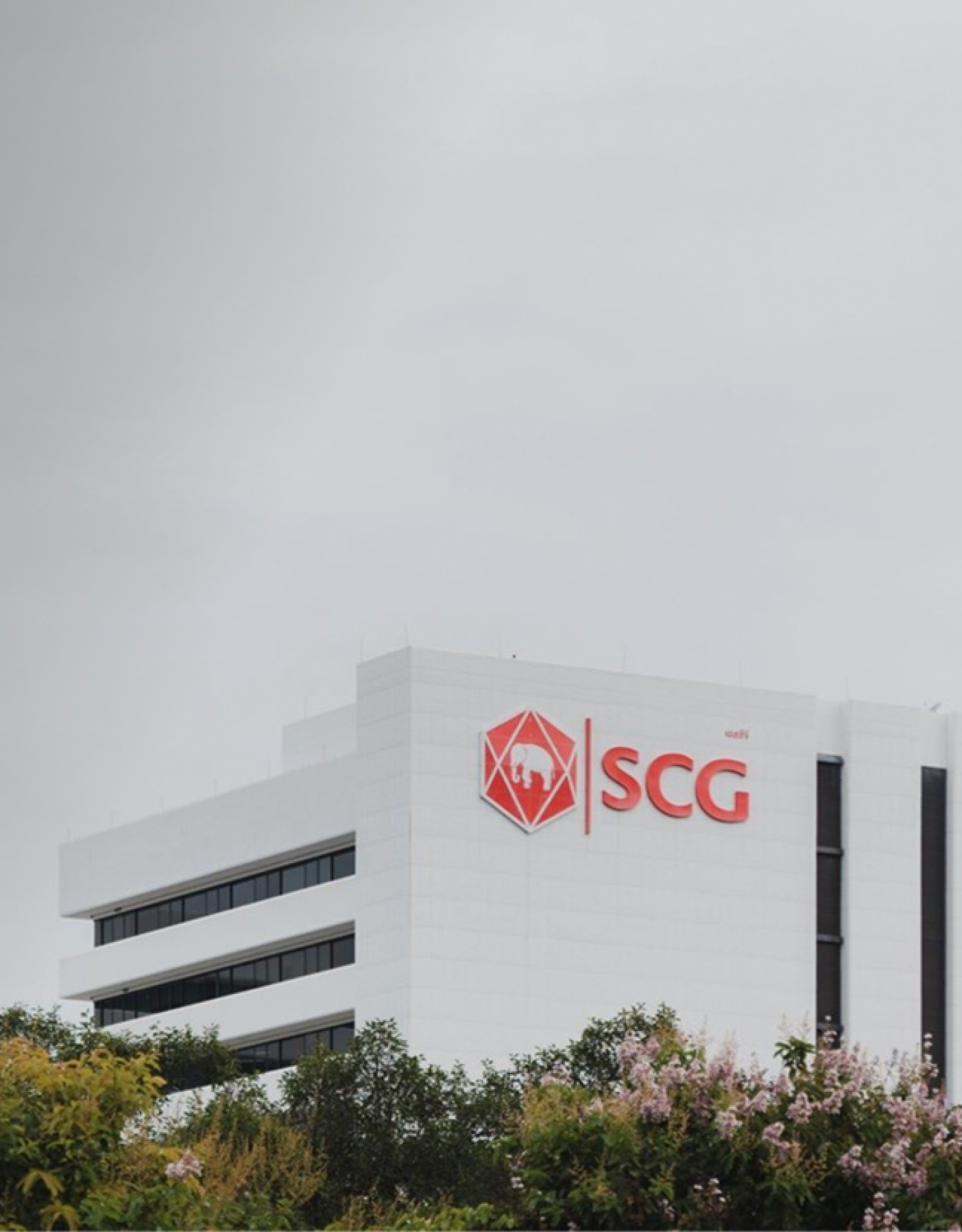 SCG TMMA Banner